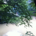 Sheltowee Trace, Red River Gorge